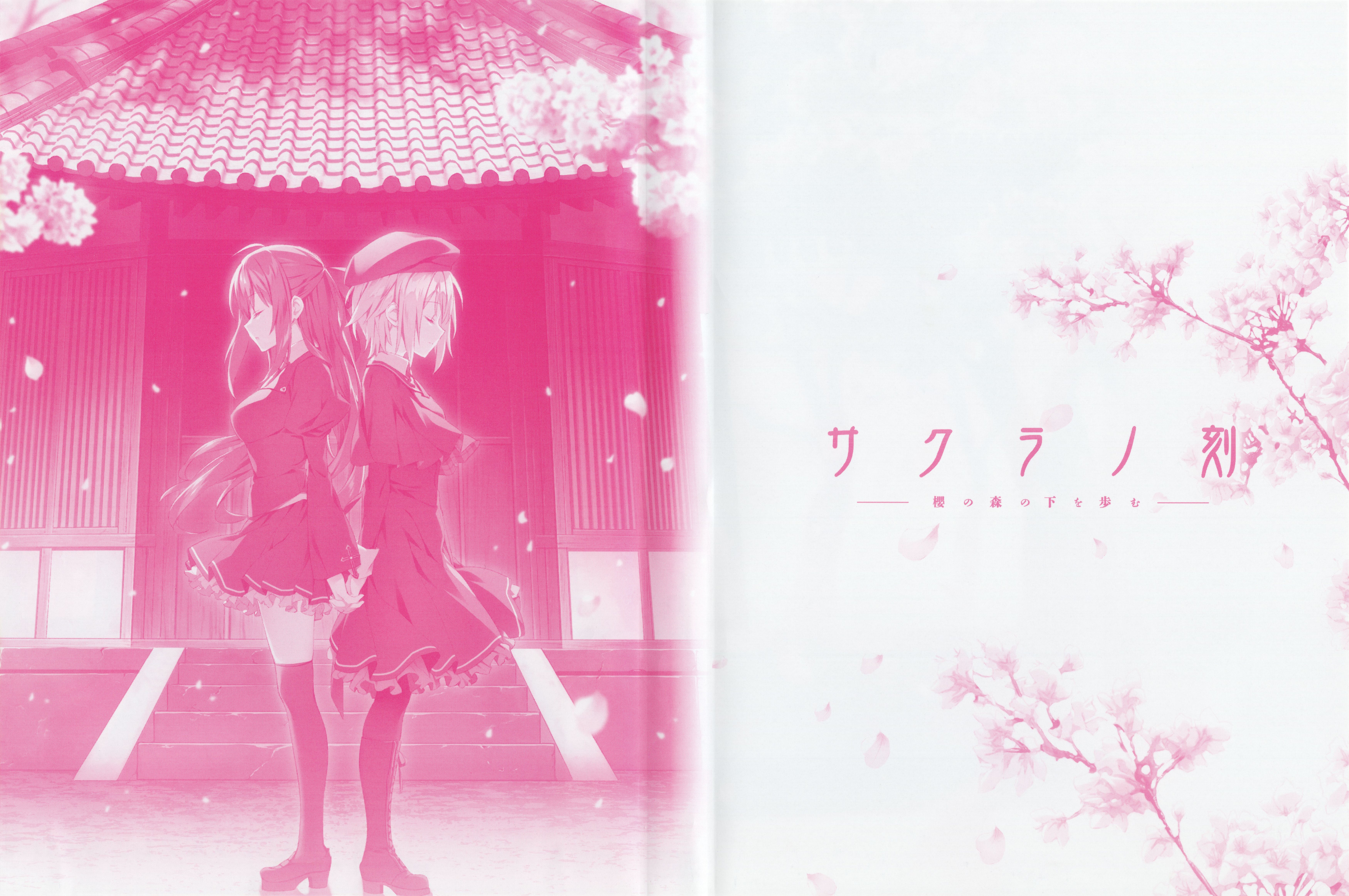 ★未開封★ 9nine It's SHOW TIME!! Ver:SAKURA Amazon.co.jp: It's SHOW TIME!! Ver:SAKURA '09” Part.2 [DVD